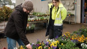 Featured Image for Social Procurement