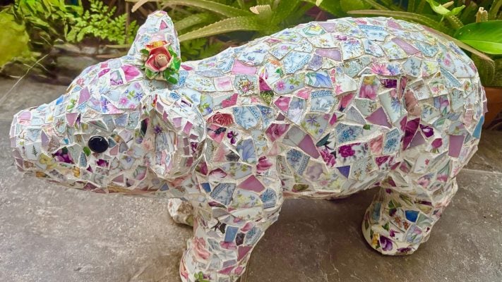 Highlight Image for Download and share