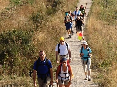 Featured Image of Cardinia Wanderers post