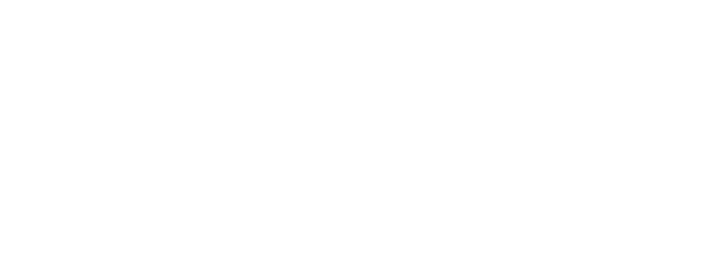  Logo for BSI Logo Website - Jan 2026